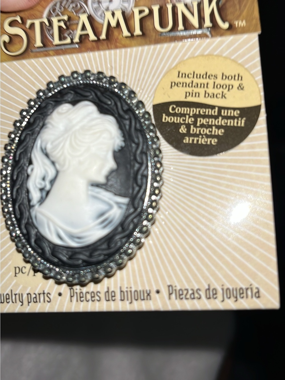 Steampunk black and white cameo pin, or necklace with silver trim.